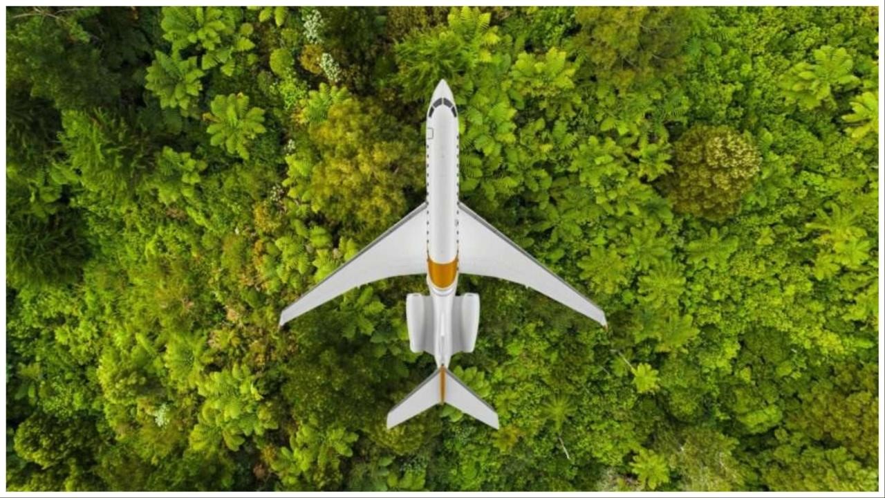 Soaring to Greener Skies with the SAF Revolution