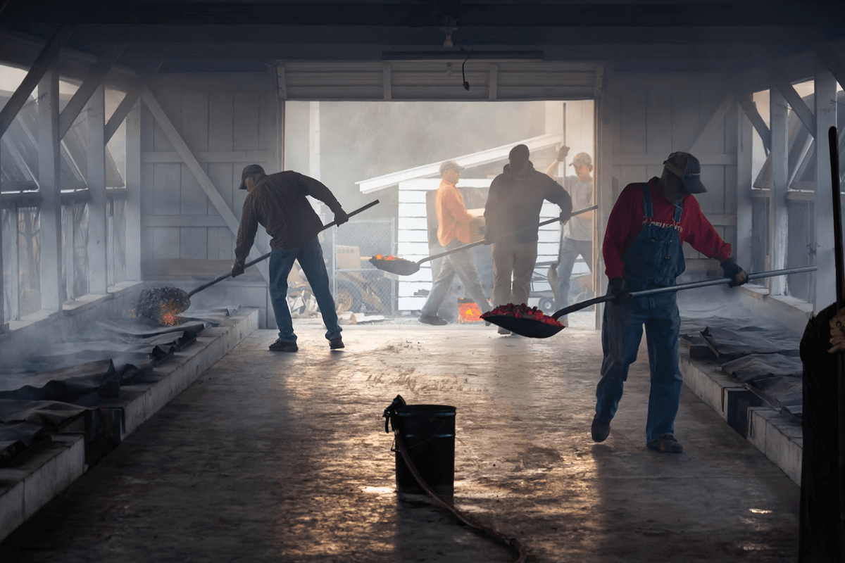 7 Factors Influencing the Future of Mining Companies in Australia